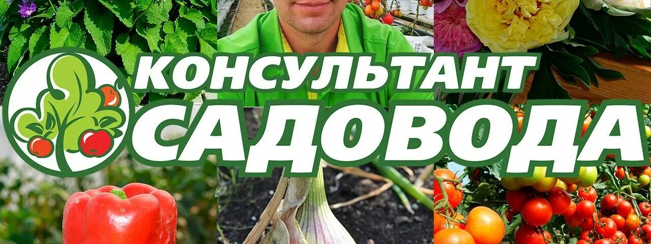 Планета садовод. Халаты садовод. 30 97 садовода. Садовод 9 97. Садоводческие товары.