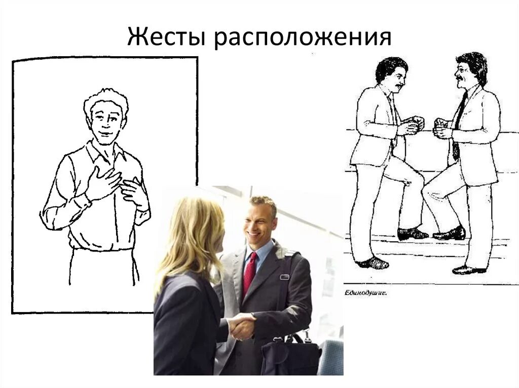 Жесты расположения. Невербальные жесты. жесты расположения в психологии. невербальные жесты открытости.