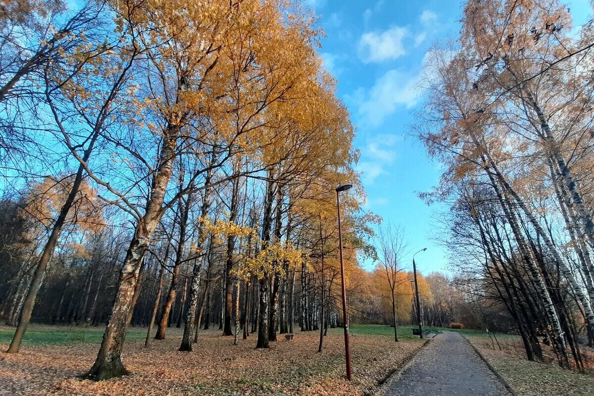 Парк Швейцария Нижний Новгород осень. Парк Швейцария Нижний Новгород. Парк Швейцария шишка. Парк Швейцария Нижний Новгород шишка.