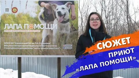 Приют ульяновск