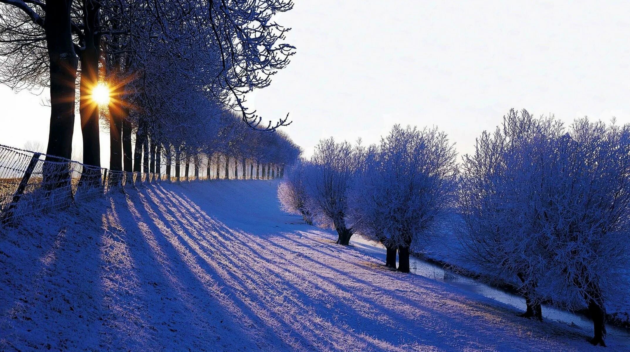 Cold december. Зимний пейзаж. Красивая зима. Январский пейзаж. Зимние обои.