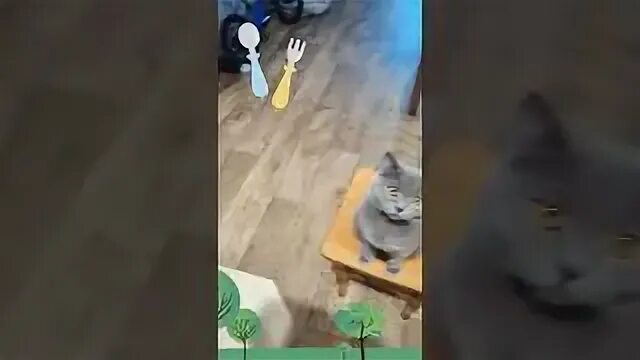 Песню еда иди ко мне сюда. Песню еда иди ко мне сюда