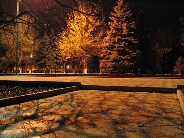 Вечер был прохладный. Гольяново осень. Осенний вечер университет. Гольяновский пруд вечером ночью. Город Прохладный вечером.