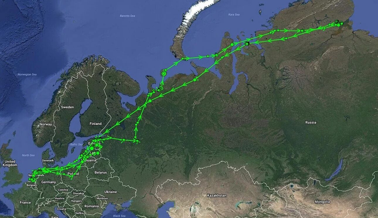 Пролет гуся. Путь миграции белолобого гуся в России. Маршрут миграции гусей. Карта миграции гусей 2021. Карта миграции гусей 2022.