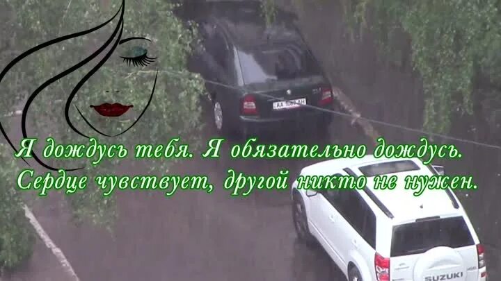 Дождусь тебя стих. Мемы на тему неблагодарности. Хатико девушка. Морской слон ждун. Хатико прикол.