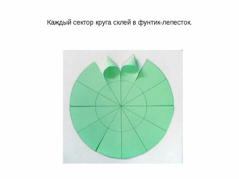 Презентация получение секторов из круга. Изготовление цветка с использованием деления круга. изготовление цветка из цветной бумаги с использованием деления круга. круг склеить. фунтик из бумаги.