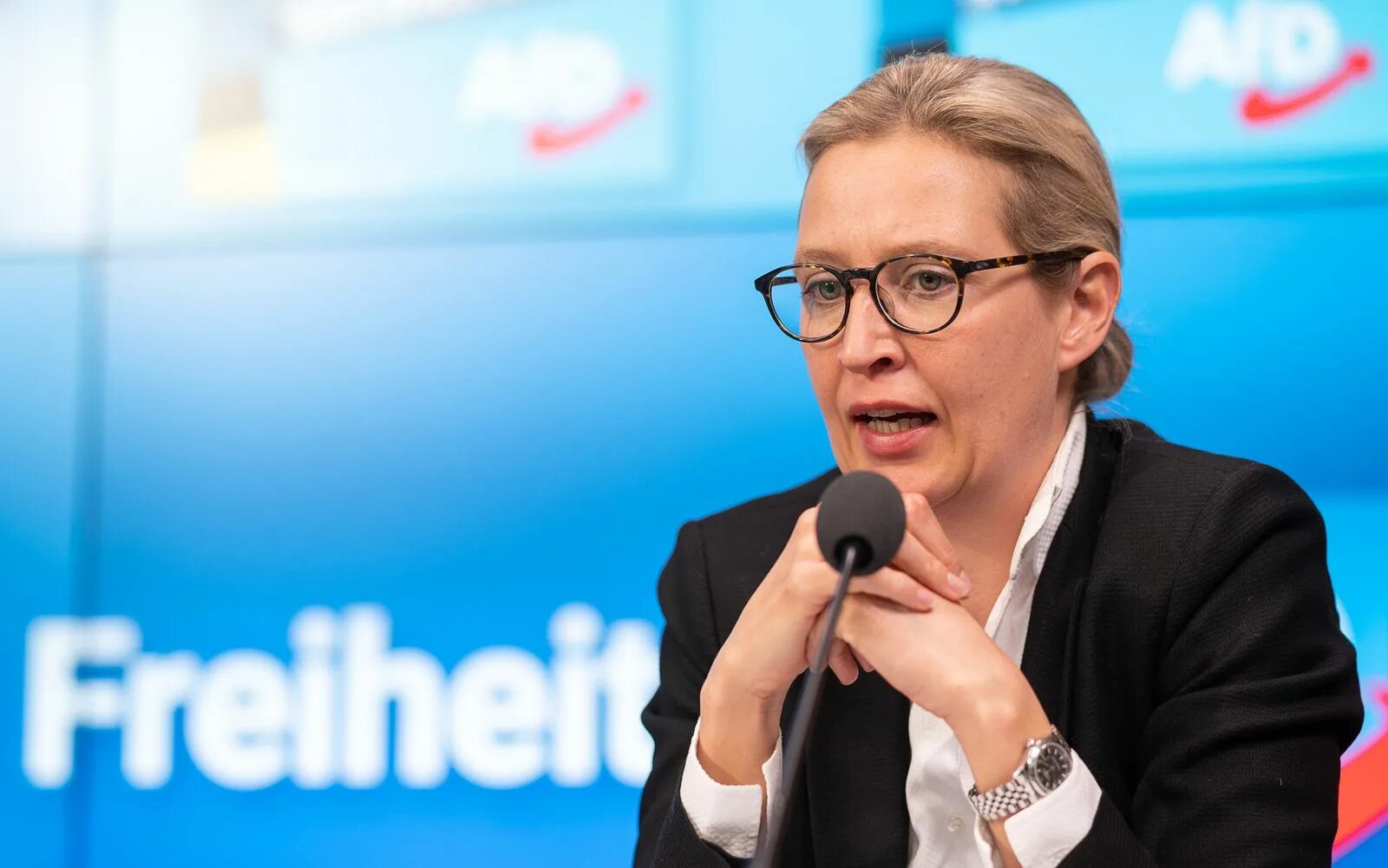 алис вайдель с женой. хуго вайдель. алис элизабет вайдель. алис вайдель немецкий политик. германия вайдель.