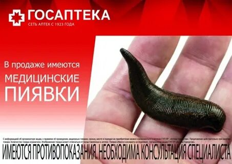 Аудиокниги золотая пиявка