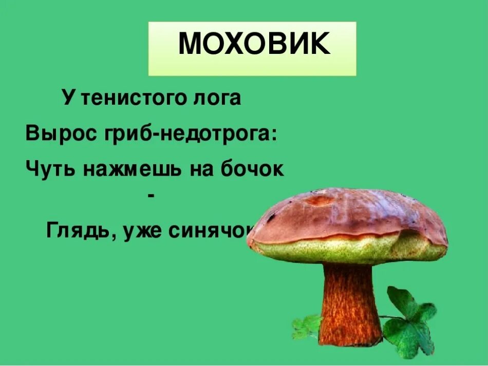 Загадка про гриб для малышей. Детские загадки про грибы. Загадки про грибы и отгадки. Загадки про грибы. Загадка про гриб 1 класс.