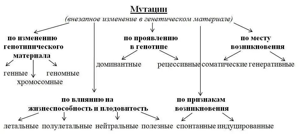 Типы генетической мутации. Типы мутаций схема. мутации по изменению генетического материала схема. схема классификации мутаций хромосомные геномные. классификация мутационной изменчивости схема.