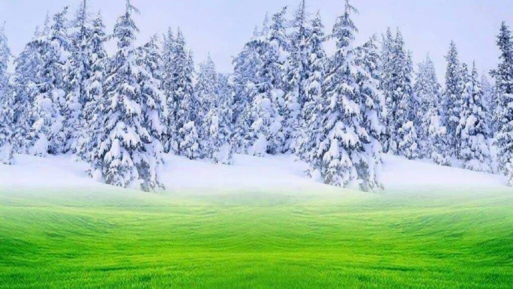 Что означает снег летом. Что означает снег летом