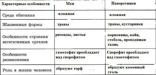 Листья папоротника 7 класс биология таблица Всё о видах папоротников: название разновидностей, что такое, описание растения