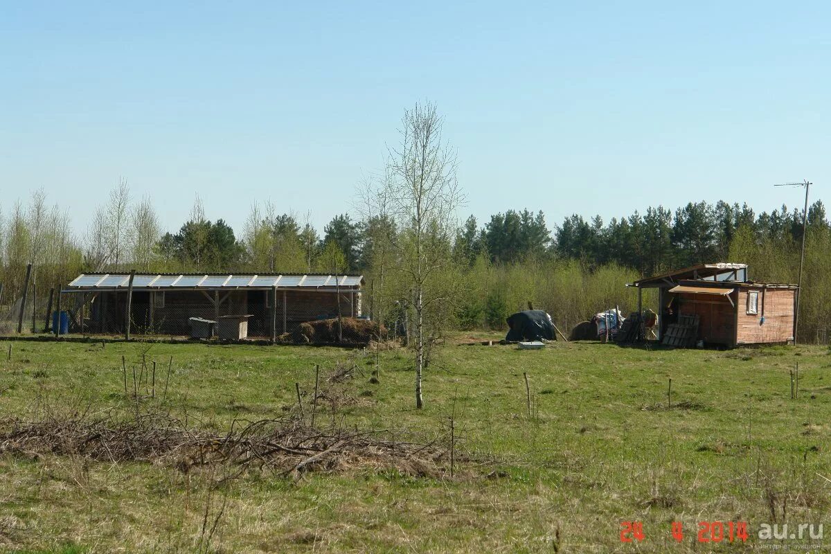 Сдаем фермерское хозяйство в аренду. Сдаем фермерское хозяйство в аренду. Козья ферма вишневый сад. Ферма. Сдаем фермерское хозяйство в аренду.