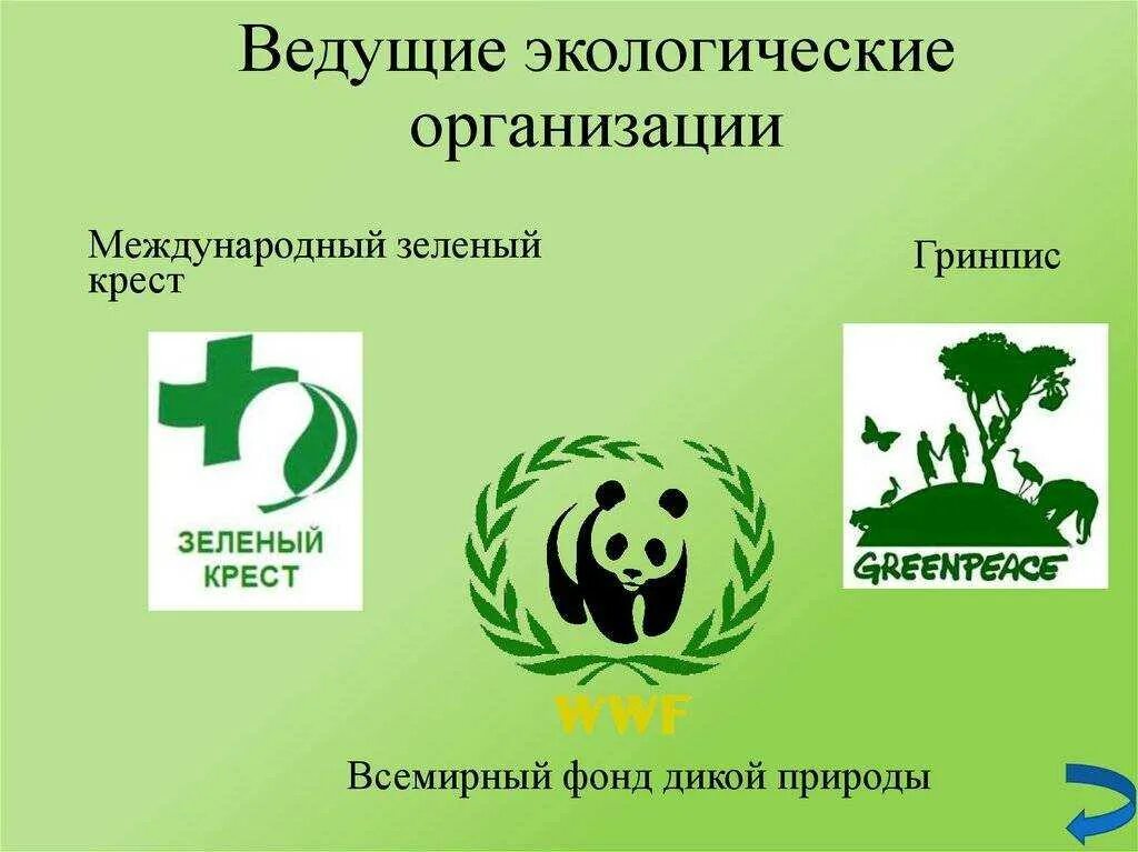 Как называется международная организация. Международные экологические организации. международная экологическая организация в россии. междунаподные экологичкские орга. между нородныеиэкологические организации.