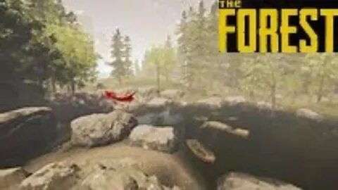 6 forest