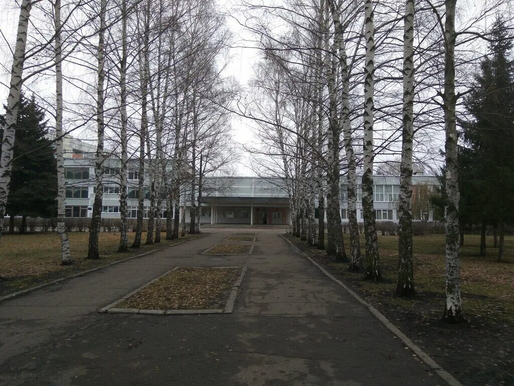 ярославль советская улица 57. школа 57 санкт-петербург. школа 59 приморского района санкт-петербурга. школа 55 курск. 71 школа ярославль.