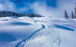 Скачать обои зима, лес, снег, холмы, лыжня, ели, сугробы, тени, раздел пейзажи в разрешении 1440x900