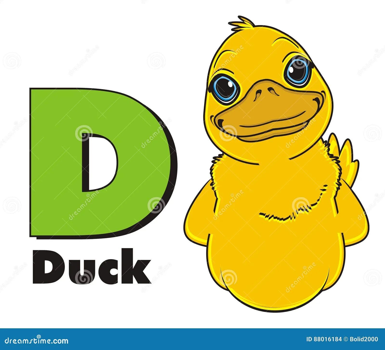 Duck слово. Английское слово duck. Карточка утка для детей. Буква d в английском языке для детей. Duck word.