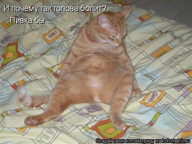 как живете как животик. болит живот. девушка на диване вектор. как живете как животик стих. как животик не болит ли голова.