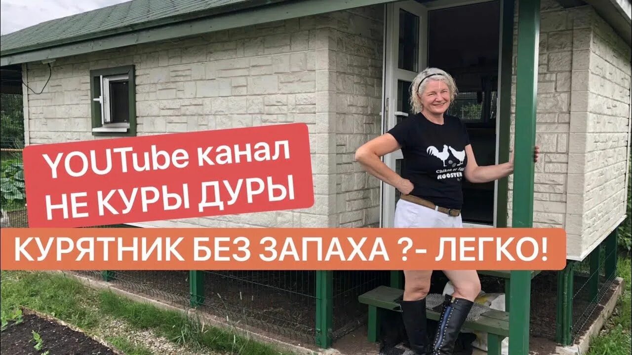 Куры не дуры. Курочка и дурочка какао. Курочки на огороде. Куры не дуры. Курочка и дурочка.