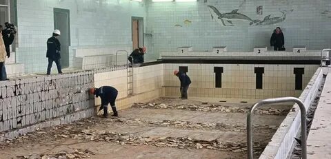 Бассейн новый уренгой телефон