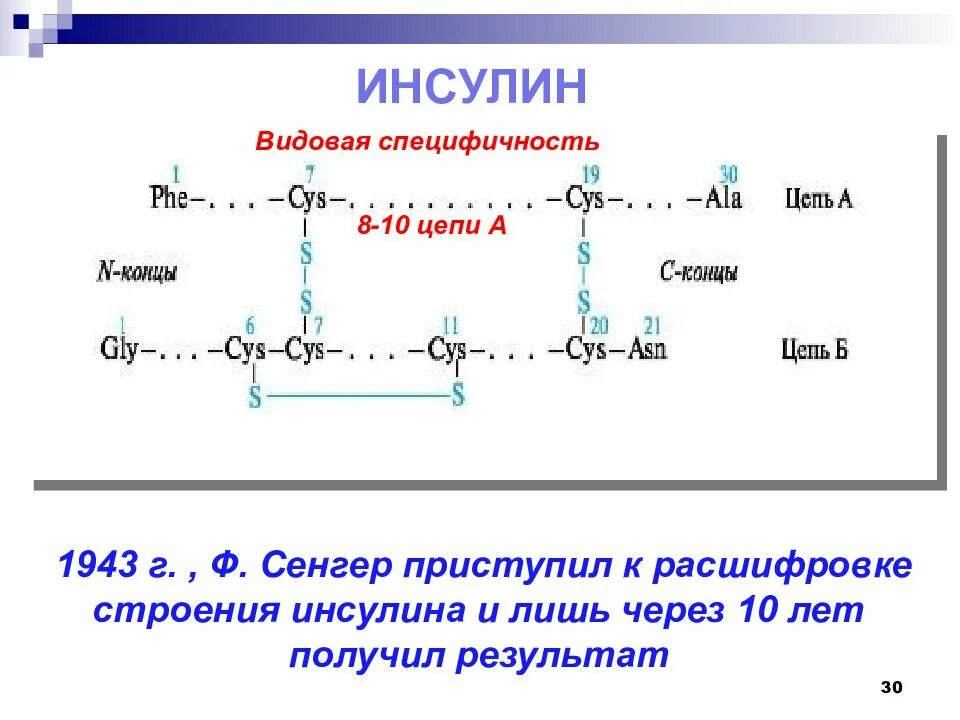 Видовая специфичность. Инсулин химическая структура формула. Химическое строение инсулина биохимия. Инсулин химическое строение. Первичная структура белка инсулина.