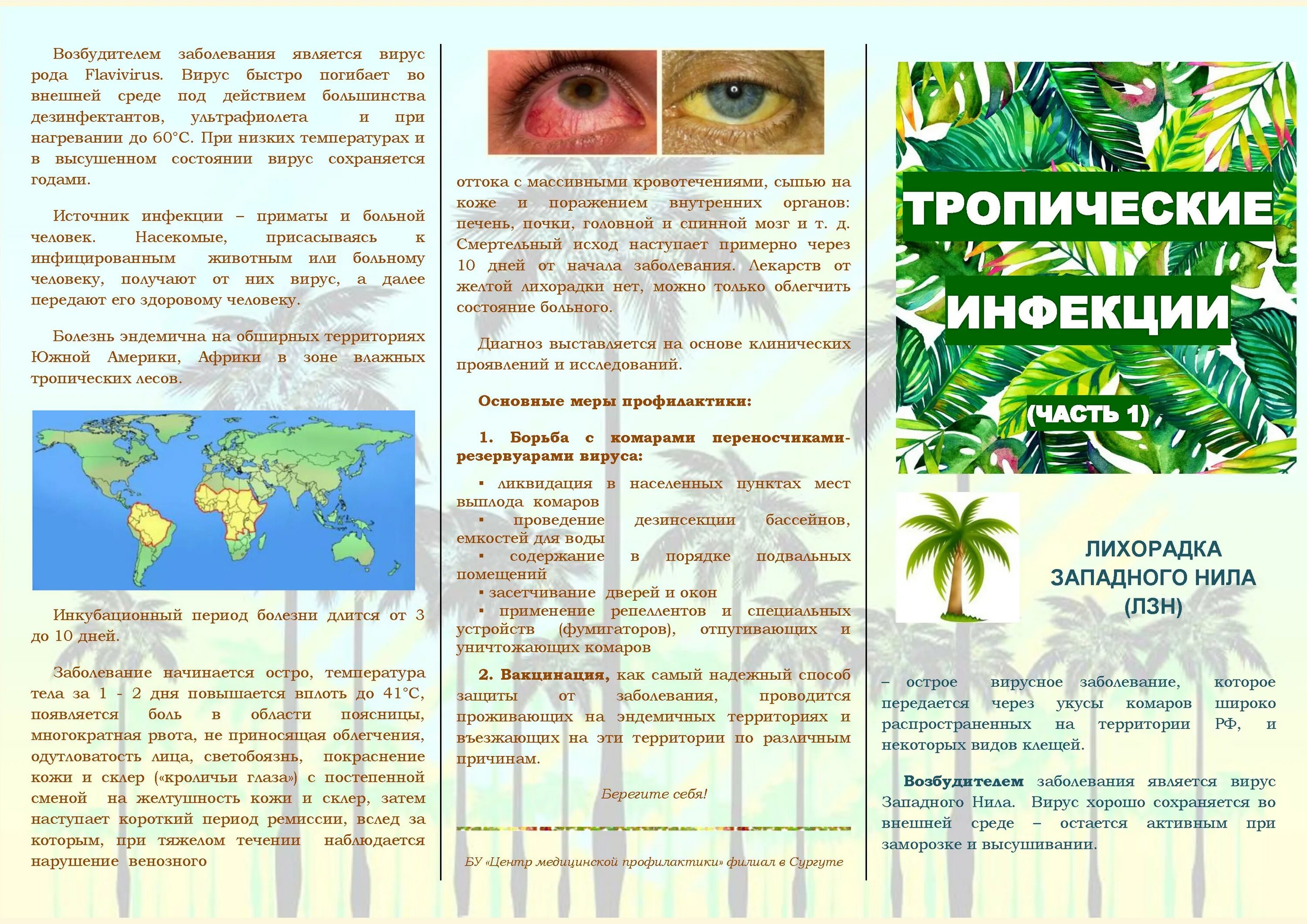болезни тропиков. болезни тропиков. классификация тропических болезней. тропические болезни вывод. болезни тропиков.