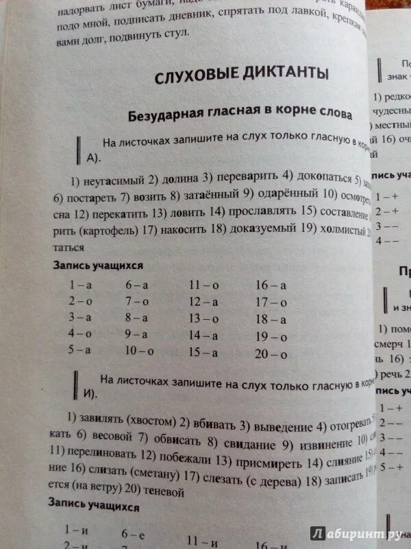 Диктант 5 класс прилагательное с грамматическим заданием. Диктант 5 класс по русскому языку ладыженская прилагательное.