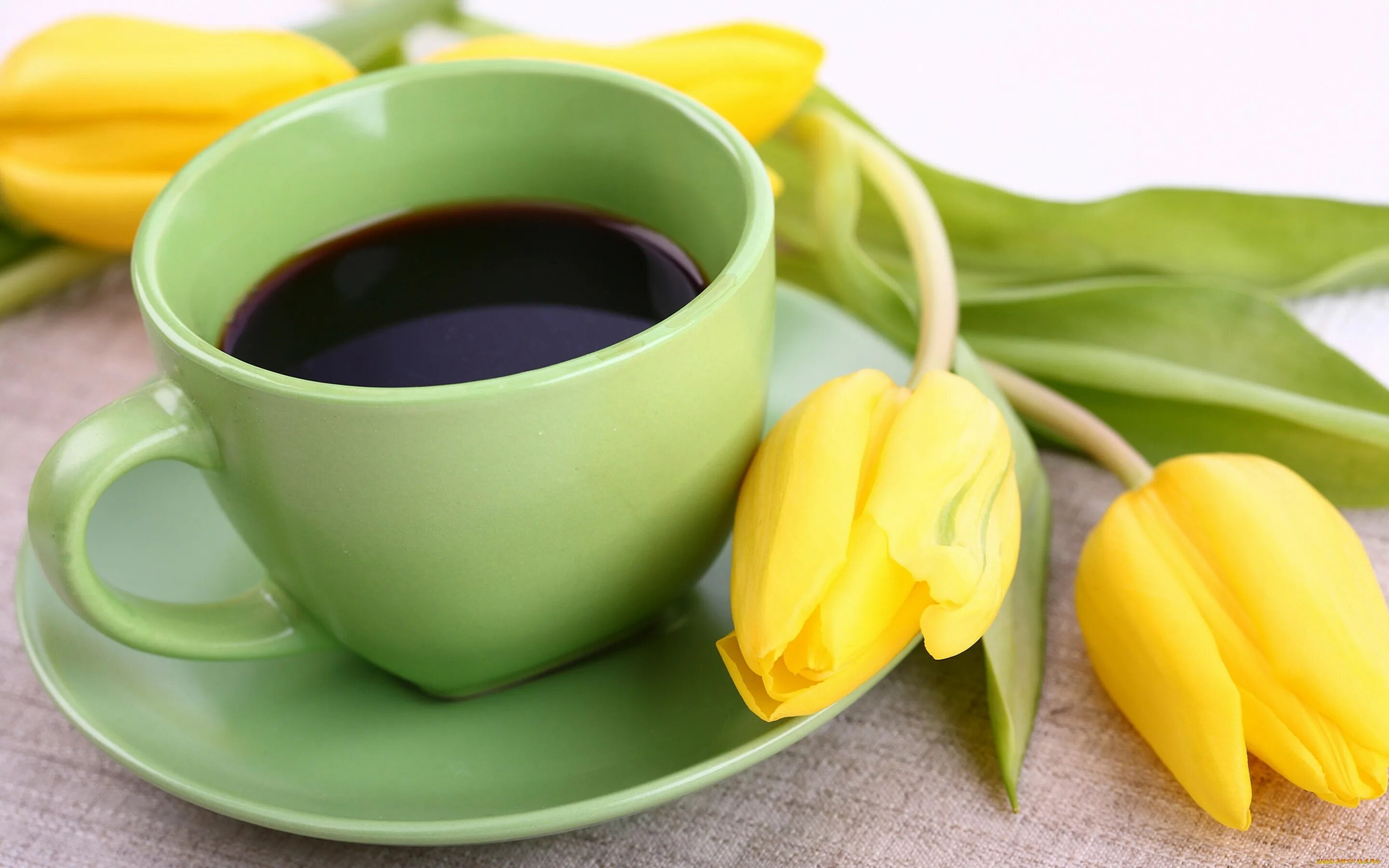 Кофе и тюльпаны картинки. Кофе и цветы. Тюльпаны и кофе. Тюльпаны и чай.