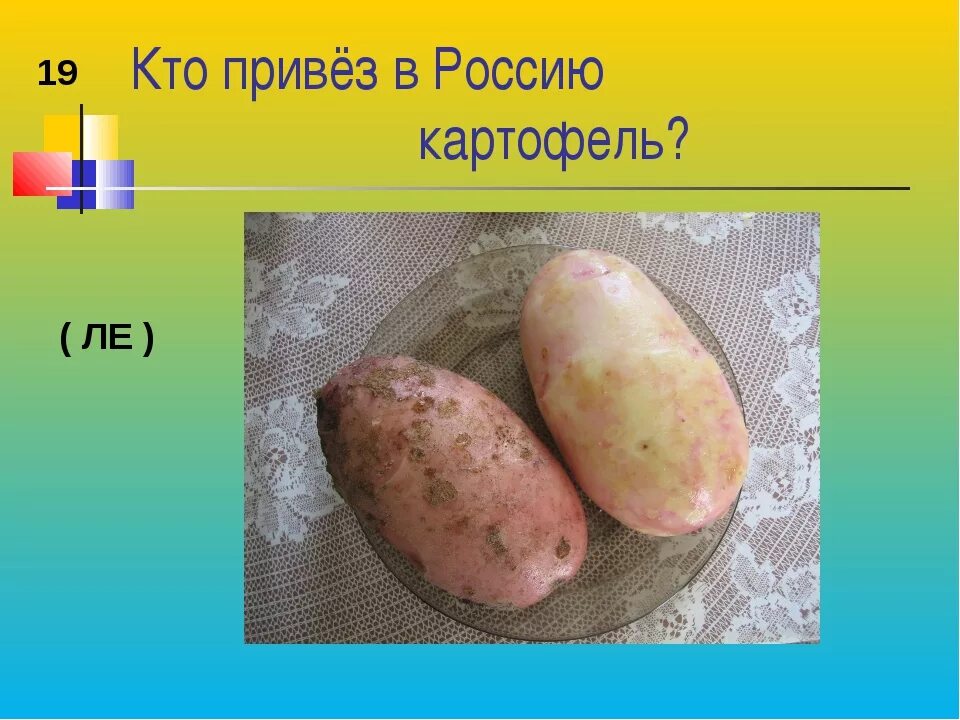 Когда завезли картофель в россию. Картошка привезена в Россию. Привезти картошку. Появление картофеля в России. На картошке появились.