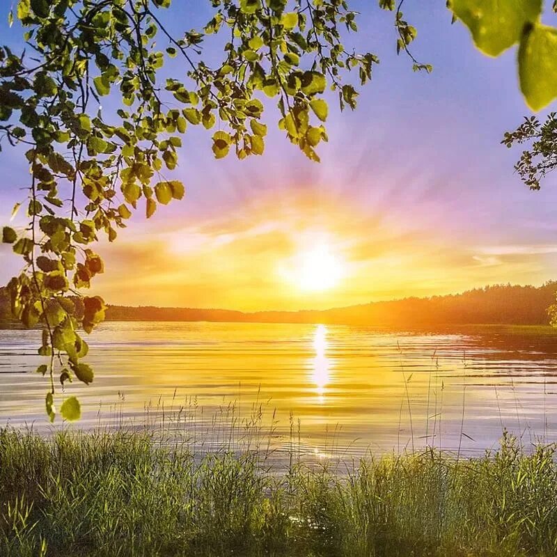 Доброе утро природа. Красивые поздравления с добрым утром природа. Хорошие пожелания с добрым утром с природой. Лето солнце природа.