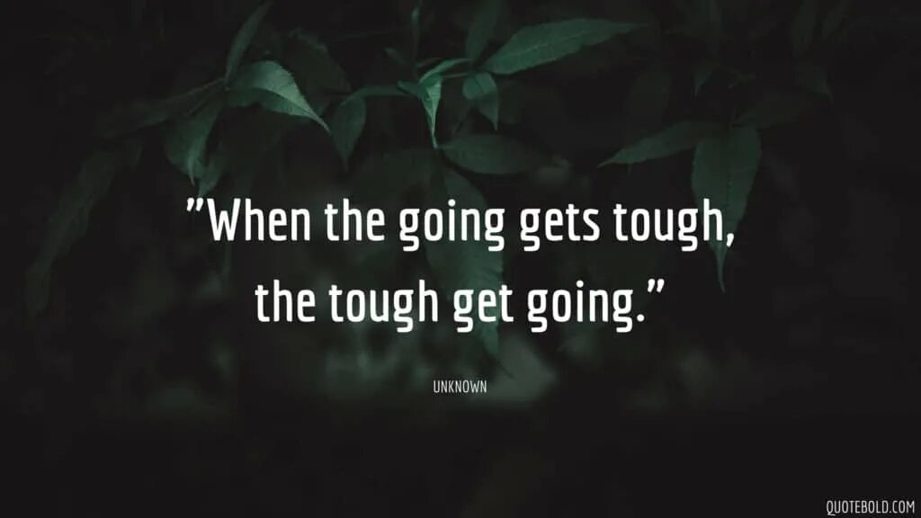 When the going gets tough, the tough get going. Пословица when the doing gets tough. Quotes with authors. Get going песня