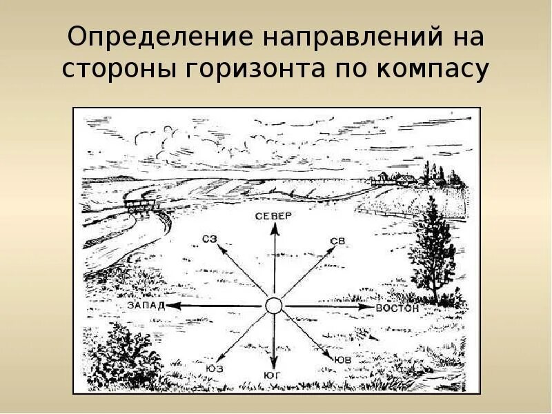 Сторона картинка. Расположение сторон горизонта. Как определить стороны горизонта. Стороны горизонта картинки. Определение направлений на стороны горизонта.