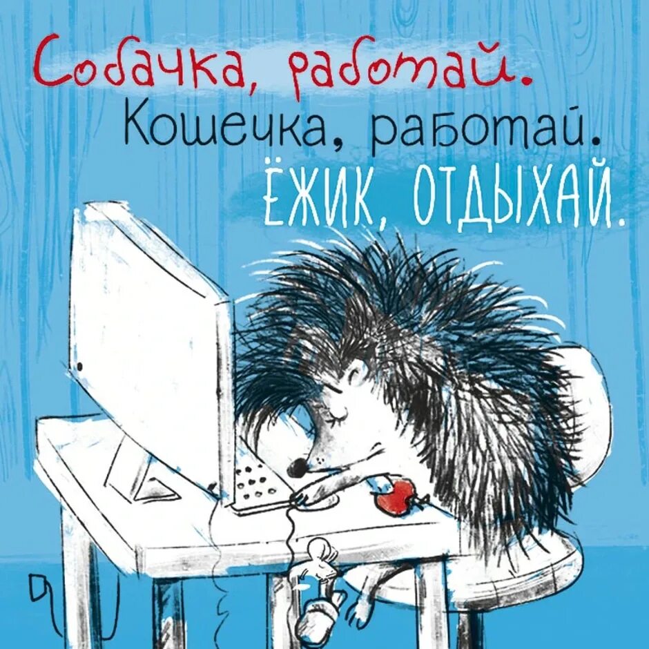 Ежики статус. Скучающий Ежик. Открытки с Ёжиками прикольные. Еж выздоравливай. Ежик на работе.