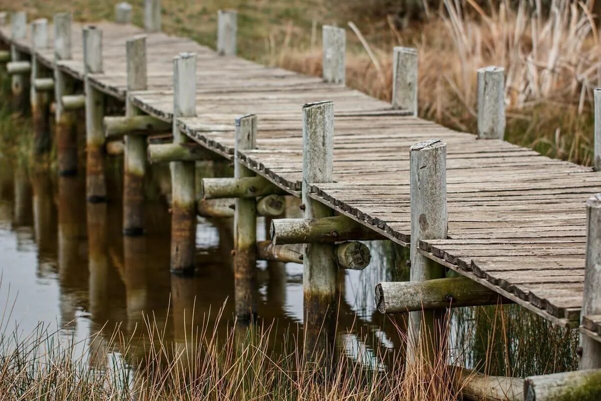 Построить деревянный мост. Деревянный мост. Древние деревянные мосты. Старинный деревянный мост. Деревянные мостки на реке.