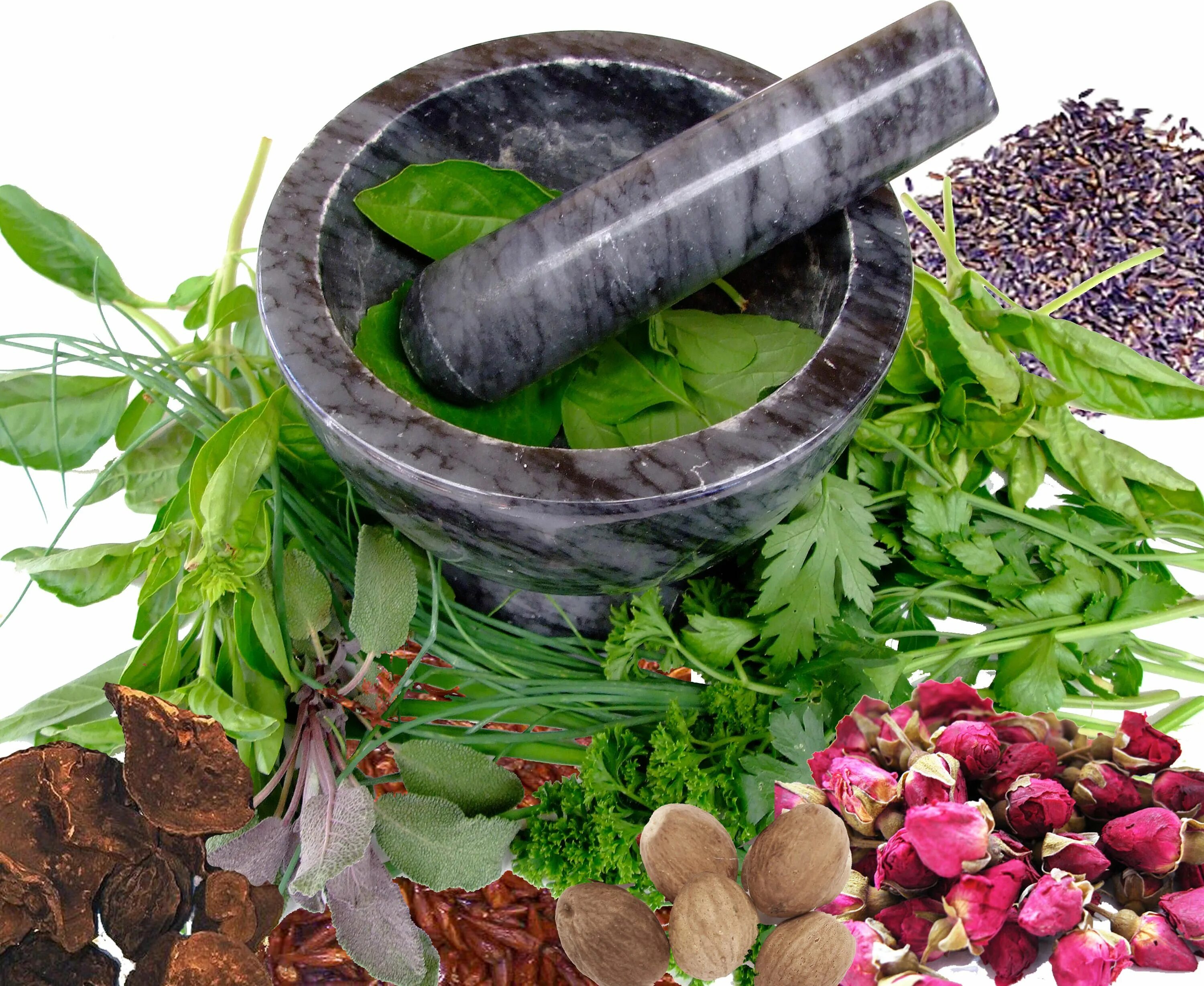 Лекарственные травы. Фитотерапия травы. Народная медицина травы. Лекарственные растения в народной медицине.