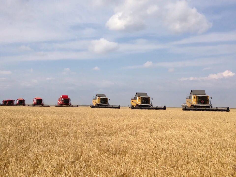 Аграрный комплекс алтайского края. Сельскохозяйственный производственный кооператив. Сельскохозяйственная кооперация. Спк сельско. Сельскохозяйственный кооператив.