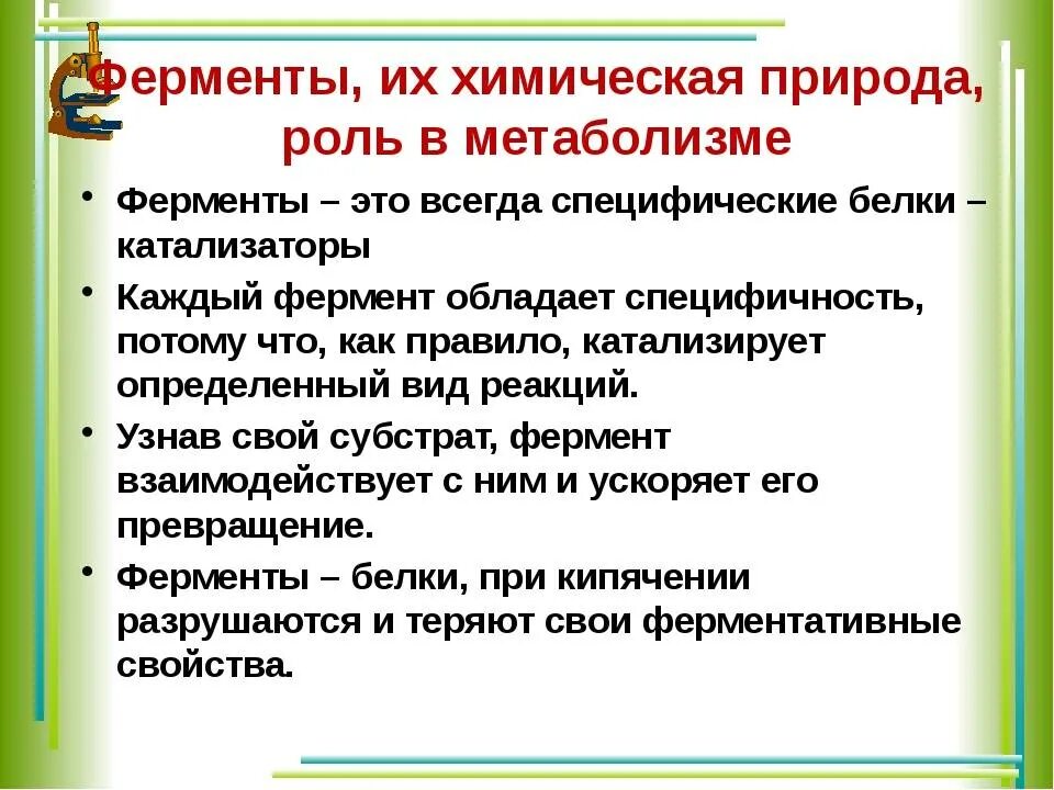 Ферменты и их роль. Роль ферментов в метаболических процессах. Роль ферментов в реакциях обмена веществ. Ферменты, их свойства и роль в метаболизме. Ферменты имеют природу