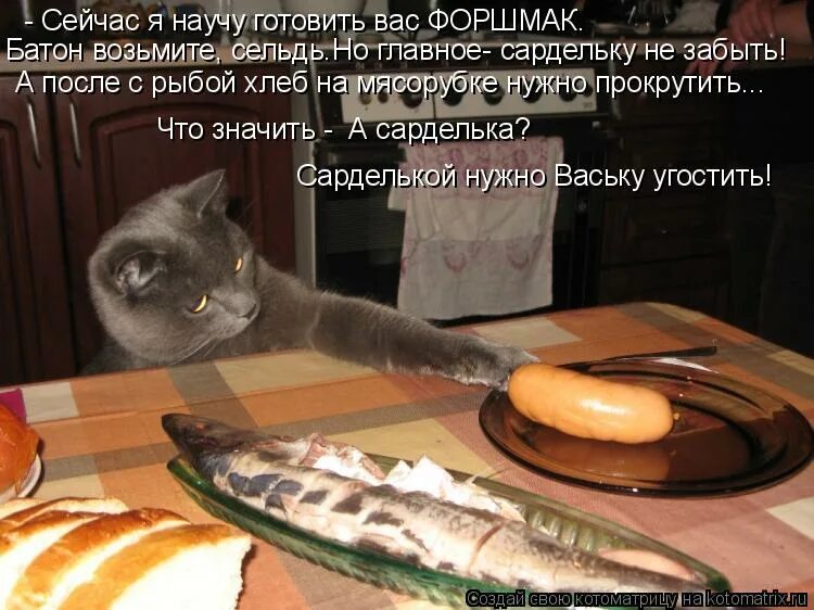 Коты и сосиски. Приколы с котами и едой. Кот с сосисками. Прикол про кошек еду. Мне твой хлеб не есть