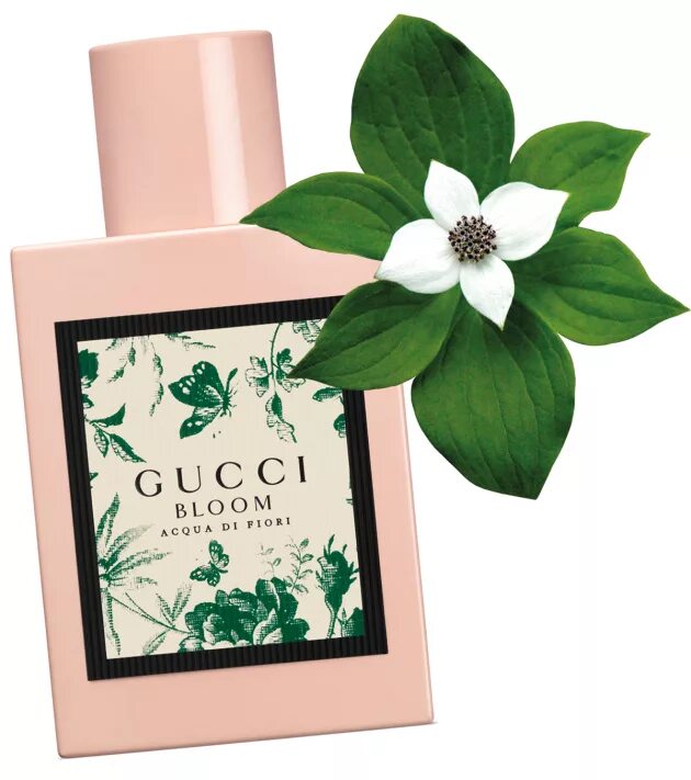 Гуччи Блум Аква ди Фиори. Gucci Bloom 50ml. Туалетная вода Gucci Bloom acqua di Fiori. Gucci Bloom acqua di Fiori туалетная вода 100 мл. Валдберис туалетная вода