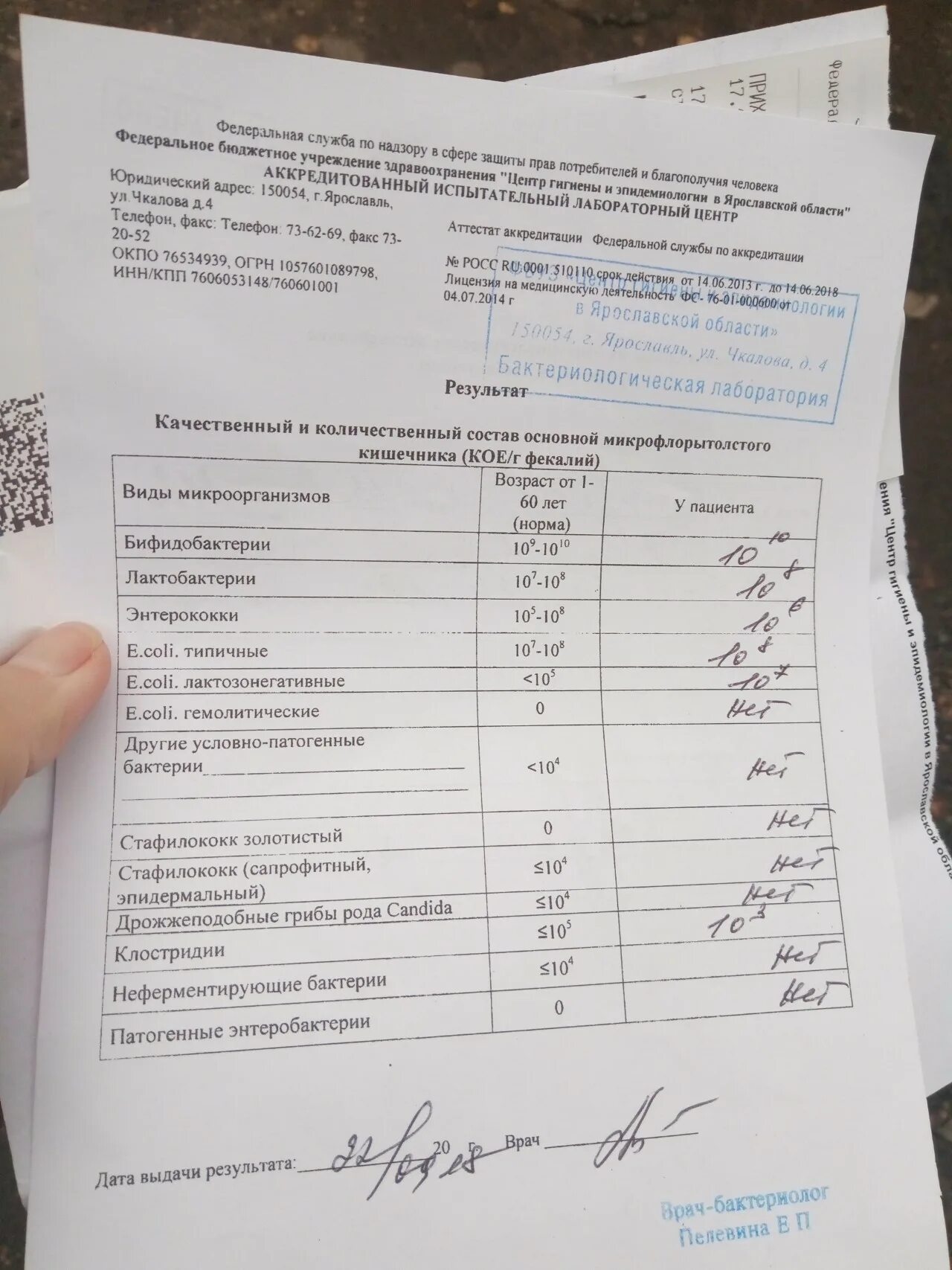 Золотистый стафилококк в кишечнике у ребенка. Золотистый стафилококк расшифровка анализа. золотистый стафилококк нормы анализа. анализ на золотистый стафилококк. анализ кала на стафилококк.