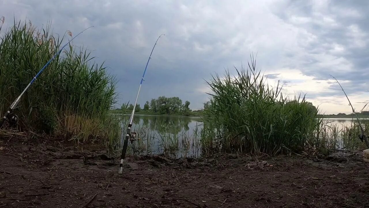 Турбаза ласточка воронежская область. Липецкое водохранилище фото. Рыбалка борина. Борино рыбалка. Боринское мокрое рыбалка.