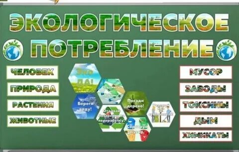 Экологическое потребление разговоры о важном сценарий