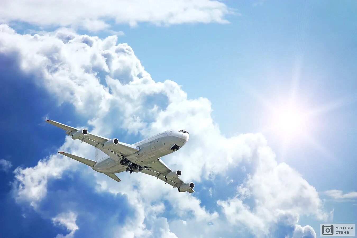 Потолок самолета. Самолет в небе потолок. Фотообои самолет на потолок. Облака с самолетами на потолок.