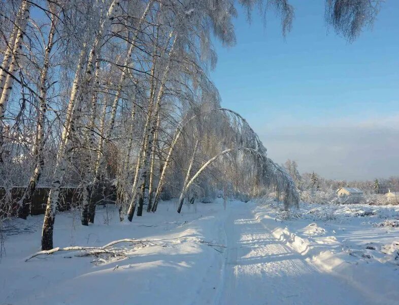 2010 год, декабрь. Зимняя 2010. Ледяной дождь в москве в 2010 году. Зима 2010 года в санкт-петербурге. Зима 2010 в великобритании.