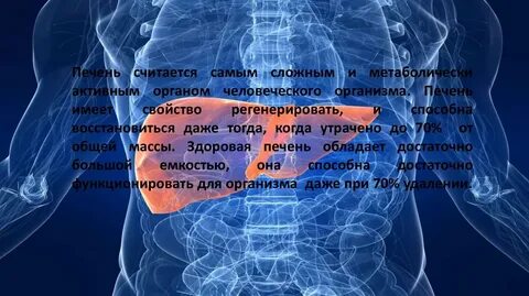 Активный орган