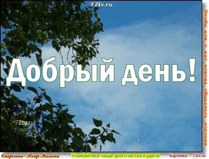 Здравствуйте быстро