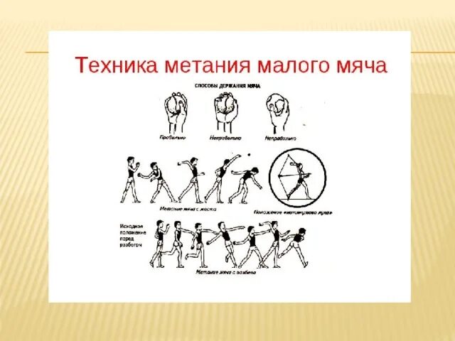 Техника выполнения метания малого мяча. Техника безопасности при метании мяча на дальность. техника метания малого мяча. техника метания малого мяча с места. техника безопасности метания малого мяча.