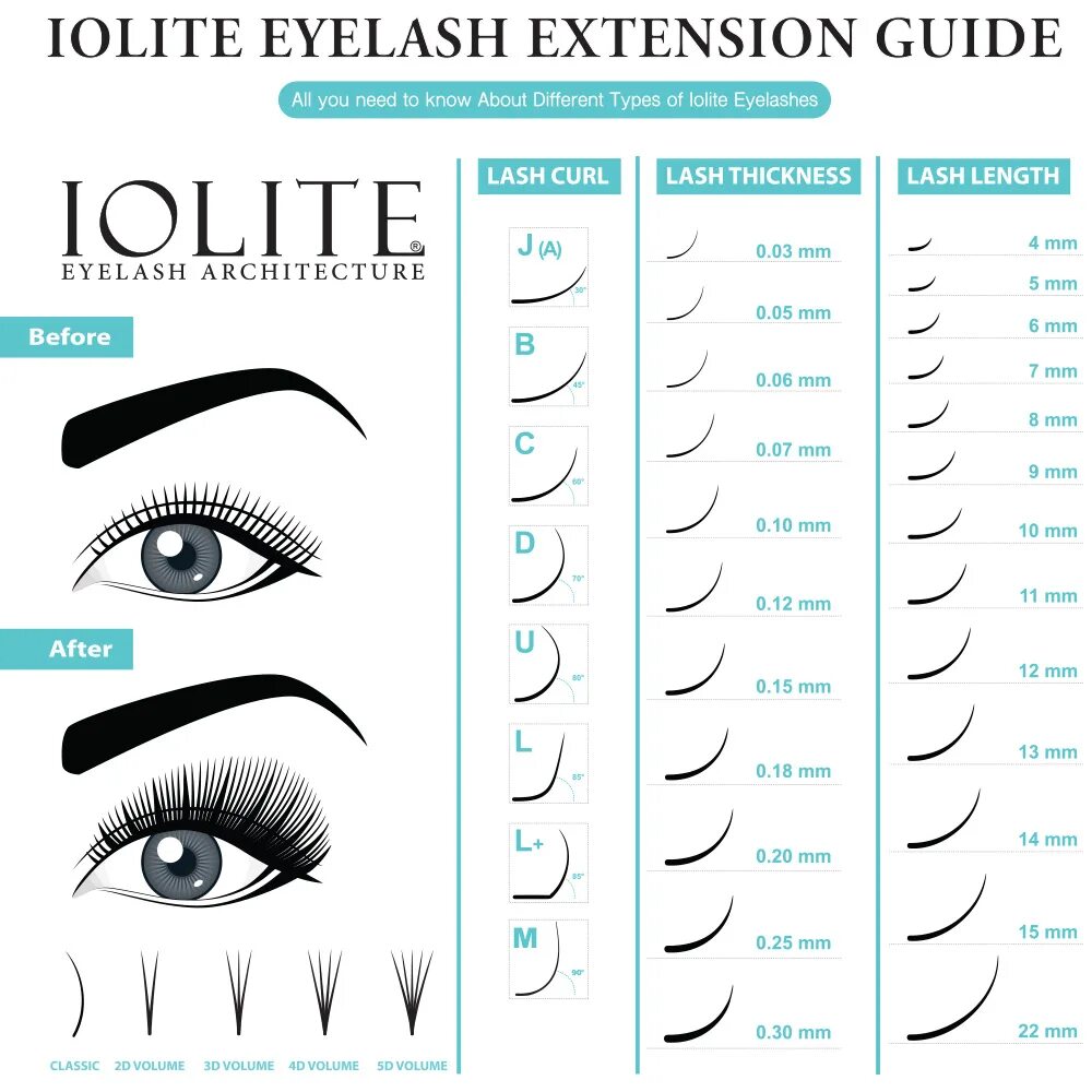 Curl lashes. Eyelash Extension Guide. Types of Lash Extension. Lash Volume Extension. Y Curl ресницы.