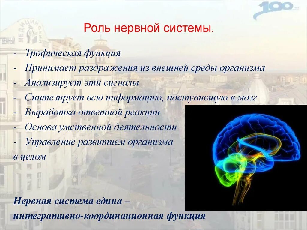 Роль нервной системы. Роль нервной системы в организме. Значение и функции нервной системы. Роль нервной системы в развитии организма. Системы играющей ведущую роль